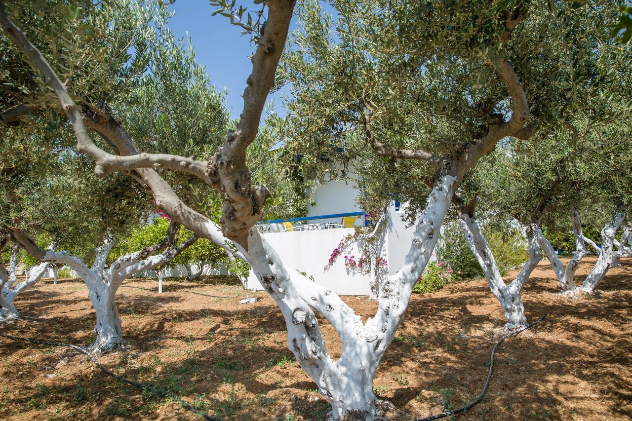דריוס Betty Apartments מראה חיצוני תמונה